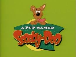 Szczeniak-zwany-Scooby-Doo-costa-rica.jpg