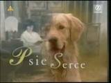psie-serce-wspaniala-kreskowka.jpg