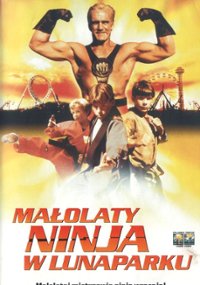 2529-malolaty-ninja-w-lunaparku.jpg