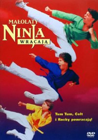 2529-malolaty-ninja-wracaja.jpg